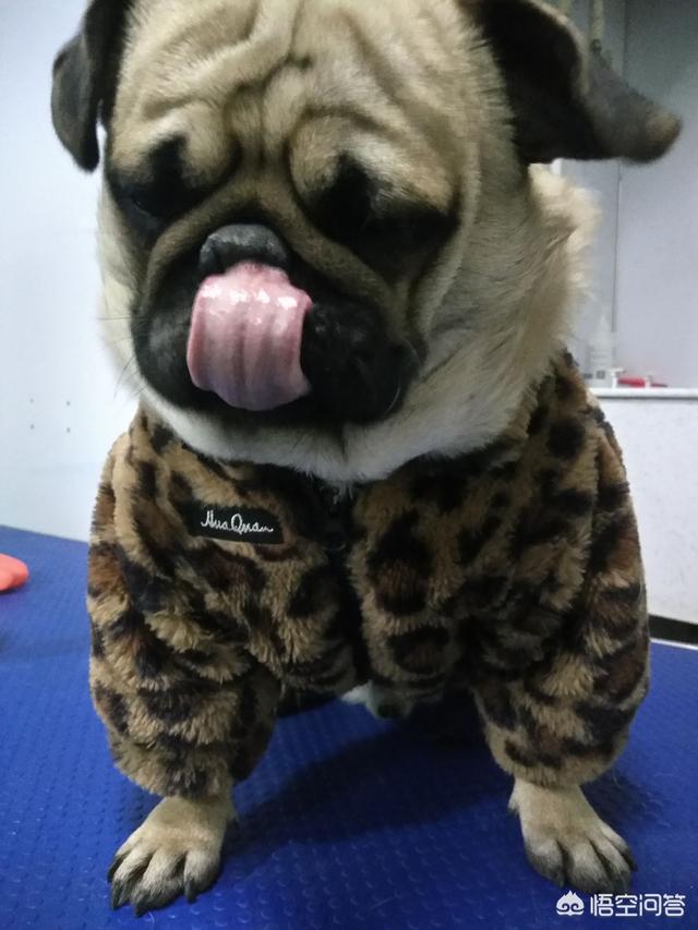 20221103004352_75747 20221103004352_75747