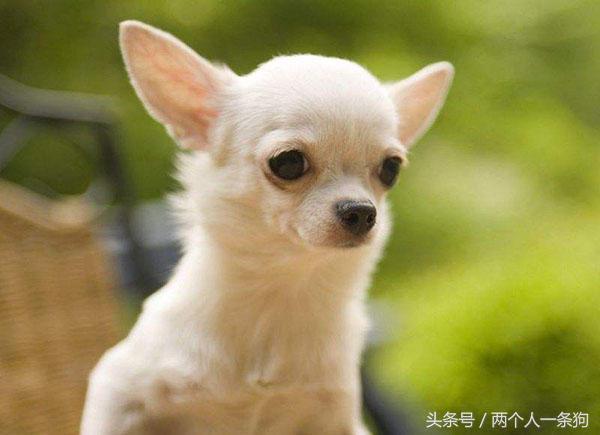 20221104005549_47734