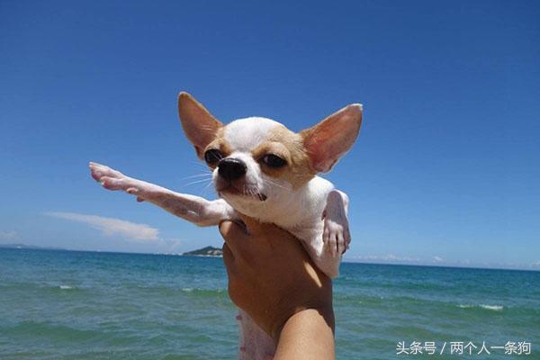 20221104005549_47878