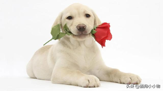 20221104094714_38100