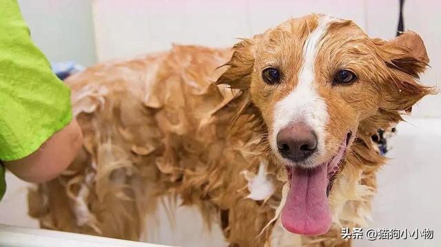 20221104094714_65457 20221104094714_65457