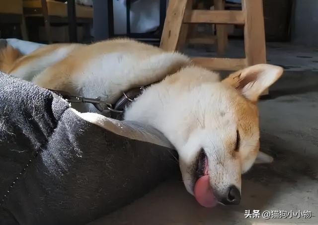 20221104094714_75161 20221104094714_75161