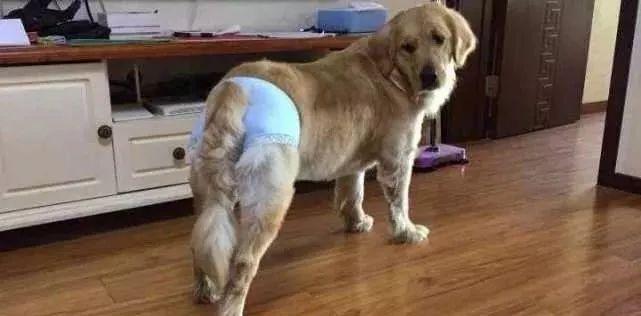 20221104115119_52024 20221104115119_52024