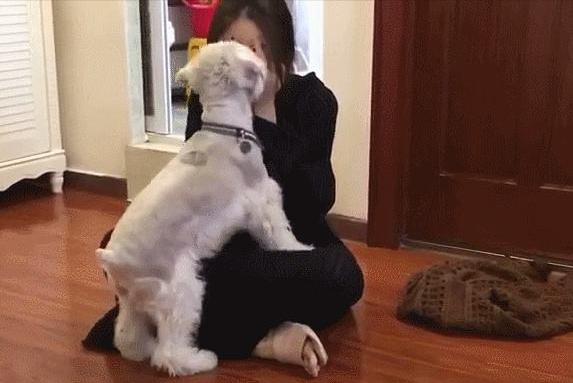 20221106113308_78065