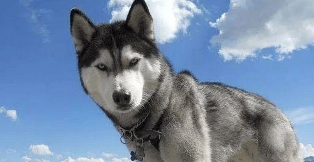 20221106150734_50036