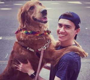 雪橇犬有几种？阿拉斯加雪橇犬多少钱一只-警犬训练器材厂家 _警犬训练用品_工作犬训练用品-南京开久警犬装备