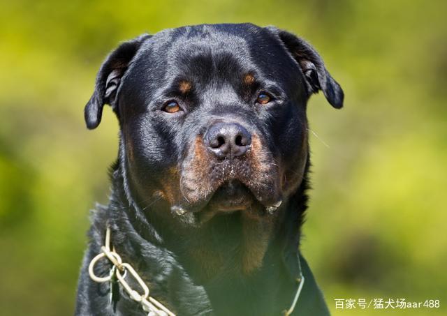 20221107095454_46289