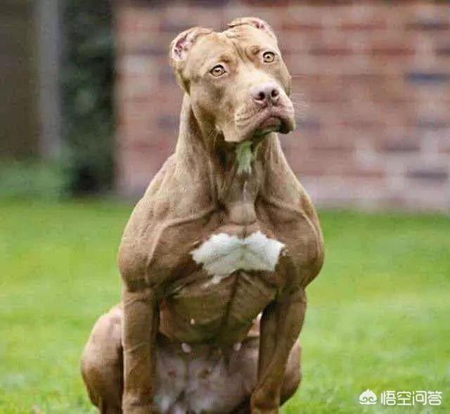 20221107104946_33113