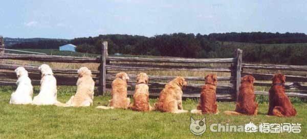 20221107104947_13305