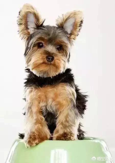 20221107104947_81718