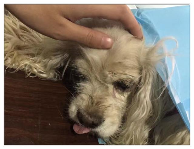 20221107131549_21168 20221107131549_21168