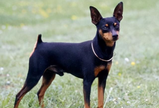 20221107143251_51650