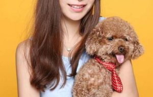 小型犬有哪些(十种最好养的小型犬)-警犬训练器材厂家 _警犬训练用品_工作犬训练用品-南京开久警犬装备