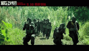 警犬鼻子的克星(警犬鼻子能闻多远距离)-警犬训练器材厂家 _警犬训练用品_工作犬训练用品-南京开久警犬装备