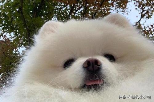 20221107181420_36959