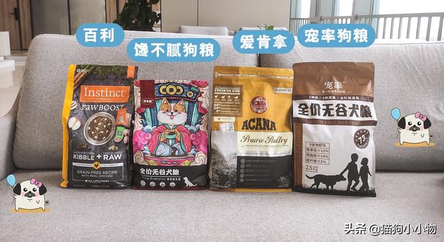 长相很凶的狗(长相凶性格温顺的狗) - 警犬训练器材厂家 _警犬训练用品_工作犬训练用品-南京开久警犬装备-警犬训练器材厂家 _警犬训练用品_工作犬训练用品-南京开久警犬装备