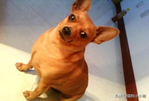 20221107181420_70320