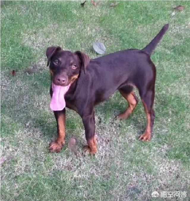 20221108112306_52828