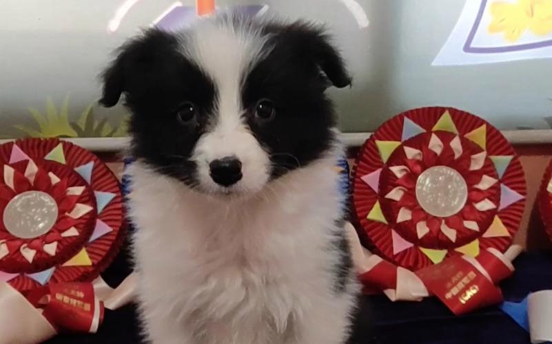 20221108120015_69437