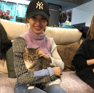 蔡依林的比熊犬(蔡依林的比熊犬为什么那么大)-警犬训练器材厂家 _警犬训练用品_工作犬训练用品-南京开久警犬装备