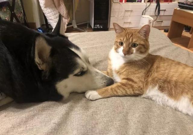 20221108160803_84816