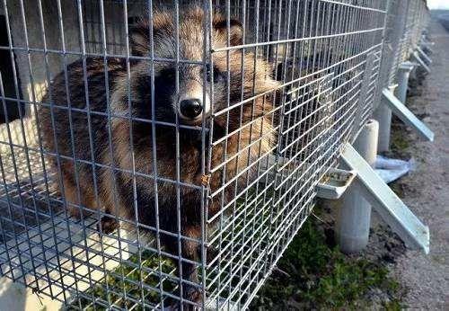 20221108160804_70983