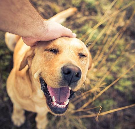 20221108192607_55424