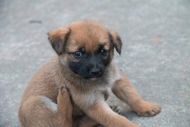 20221108194207_25345