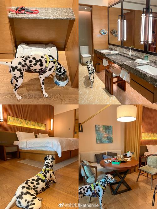 20221109183414_40706