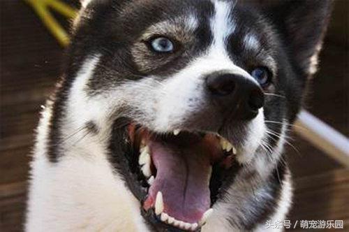 20221109225149_15487 20221109225149_15487