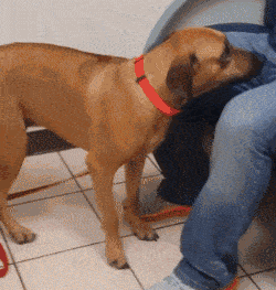 20221109234455_81758