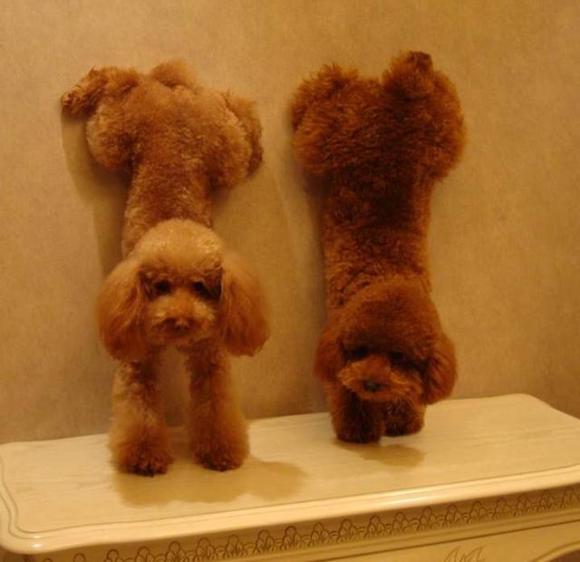 20221110131554_31849