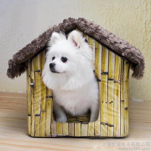 20221110155850_59101