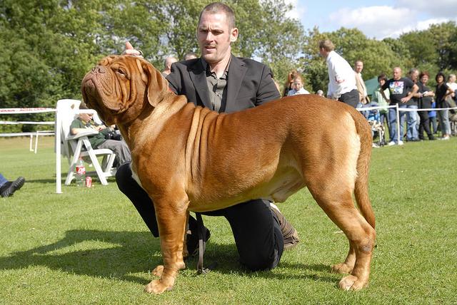 20221110162156_31301