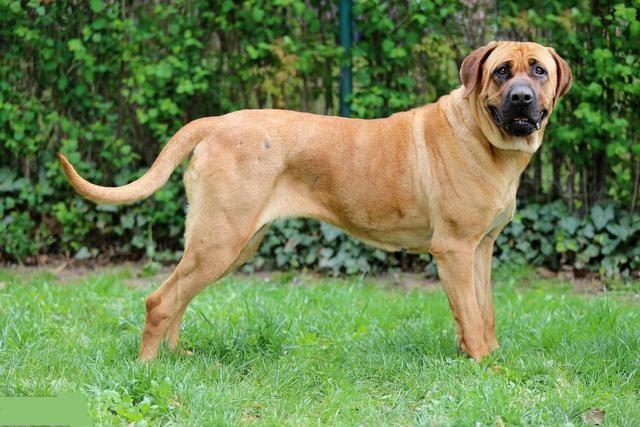 20221110162157_40684