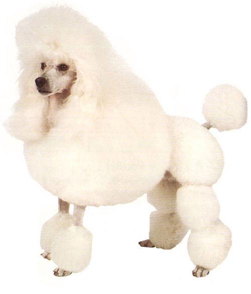 20221110171405_28307