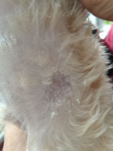 20221110181013_84805