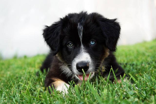 20221110194213_21993