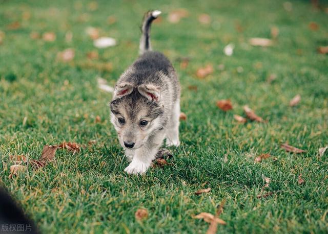 20221110194214_48447