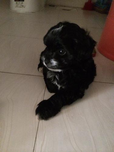 20221110215412_31995