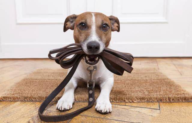 20221111084812_72129