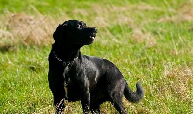 20221111103517_96102