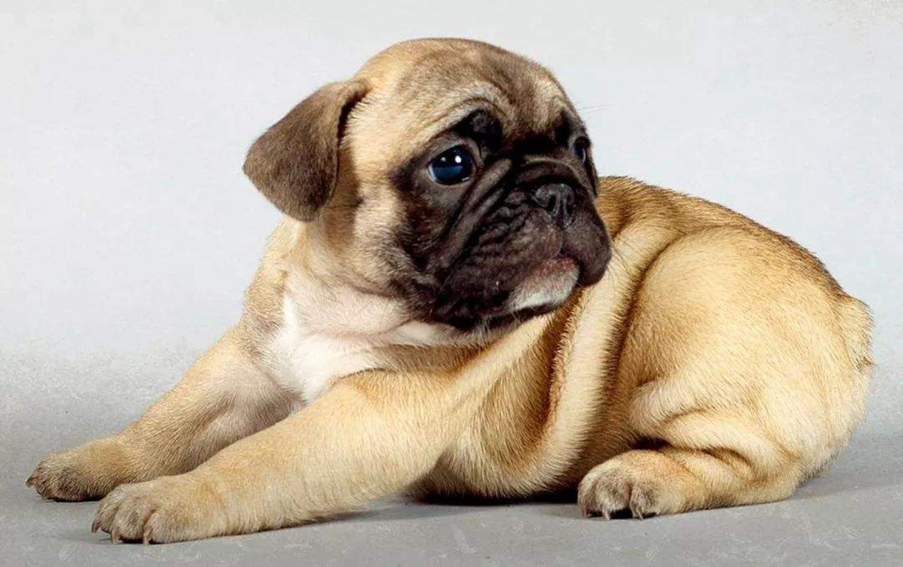 20221111122300_58997