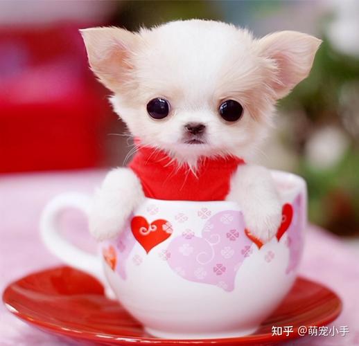 20221111131933_59241