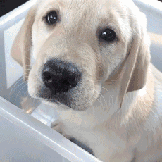 20221111172541_23574 20221111172541_23574