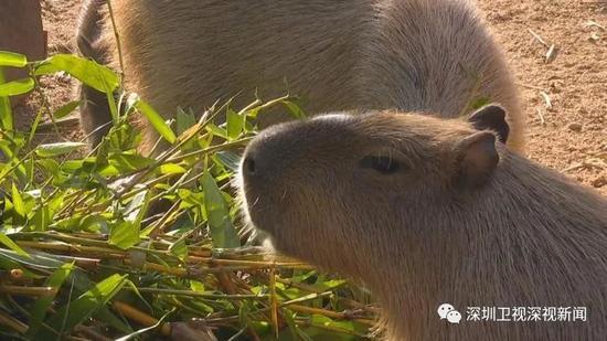 20221111182854_63210