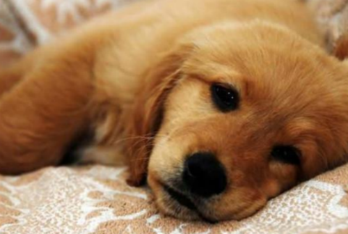 20221111204056_92962 20221111204056_92962