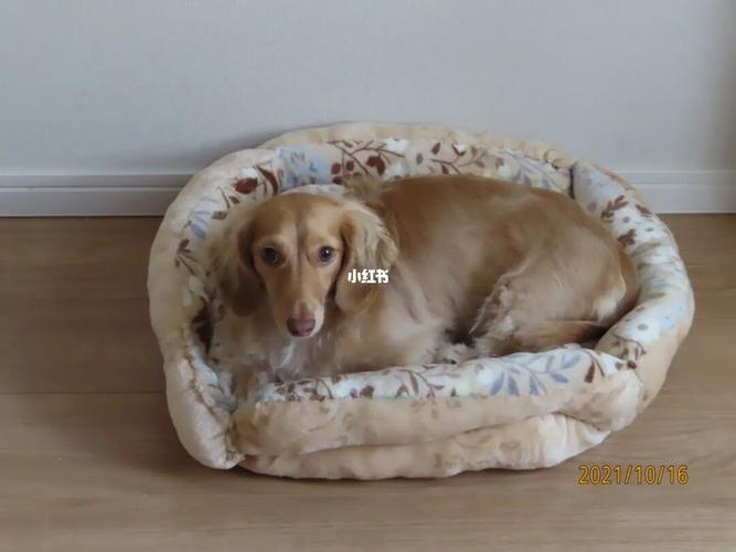 20221112145901_58832