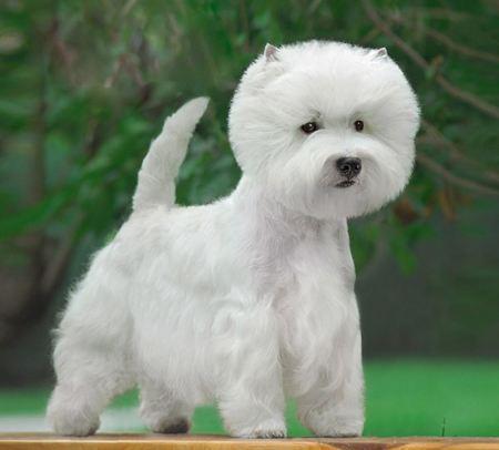 20221112154104_46611 20221112154104_46611