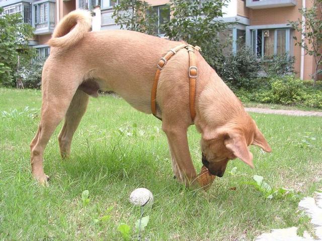 20221112160356_68002